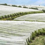 پارچه اسپان باند :مصارف کشاورزی